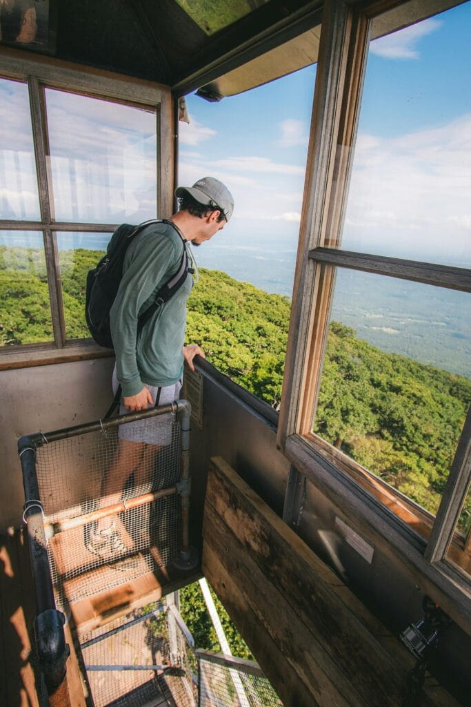 What is solo traveling? a solo traveler looking outside window from jungle house